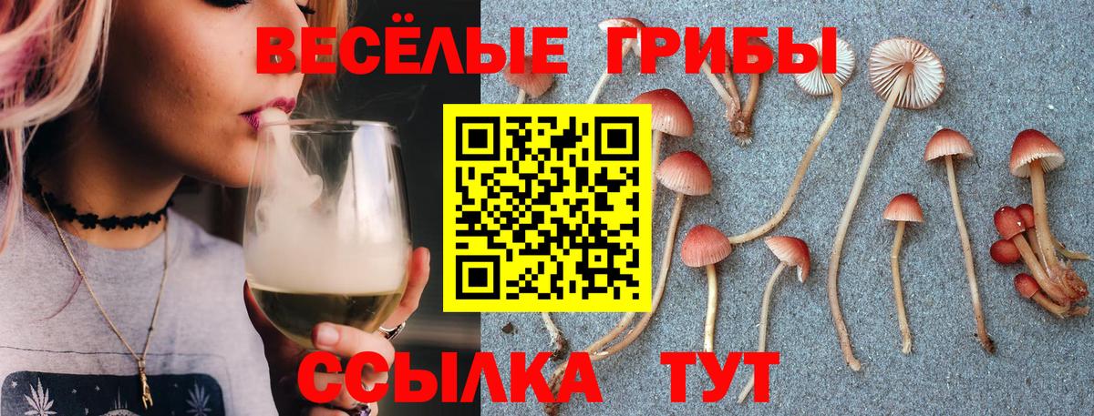 Галлюциногенные грибы Magic Shrooms Краснокаменск