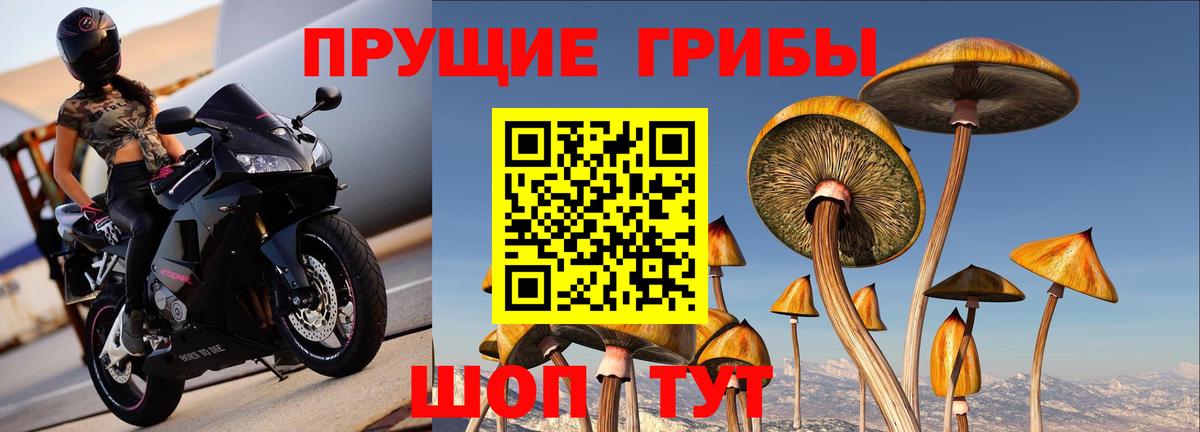 закладка  Вход с VPN  Псилоцибиновые грибы Psilocybe  Краснокаменск  Псилоцибиновые грибы мицелий 